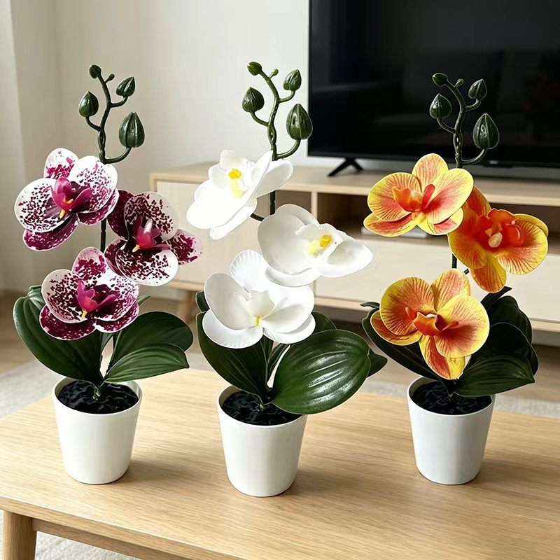 Mini Butterfly Orchid Potted P - огляд і ціна Orchid Potting Mix