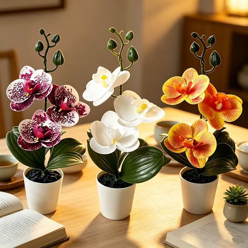 Mini Butterfly Orchid Potted P - огляд і ціна Orchid Potting Mix