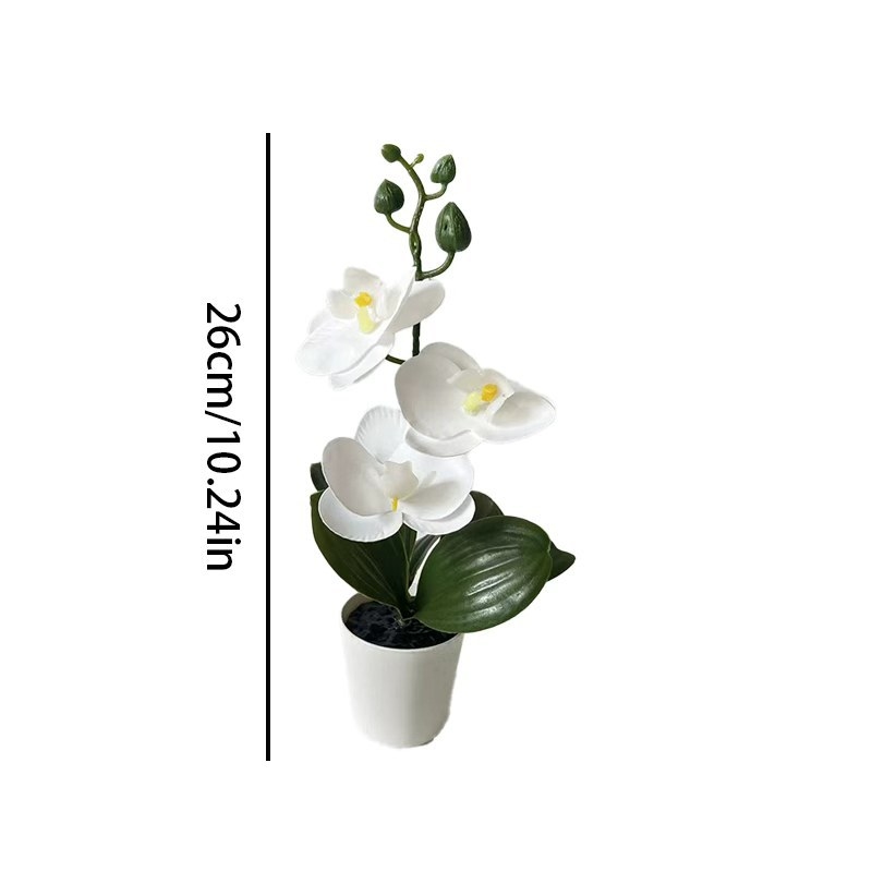 Mini Butterfly Orchid Potted P - огляд і ціна Orchid Potting Mix