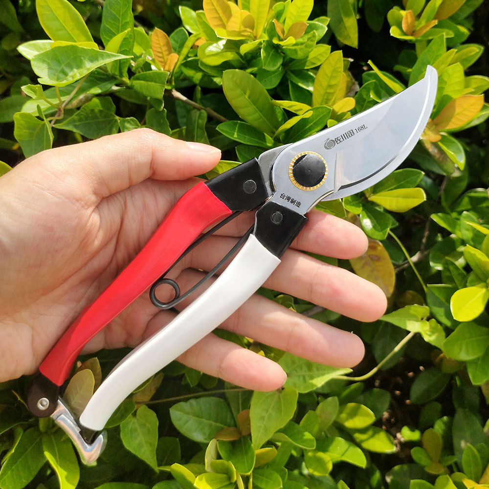 Taiwan Sakawada 168l Gardening - огляд і ціна Gardening Tools Japan