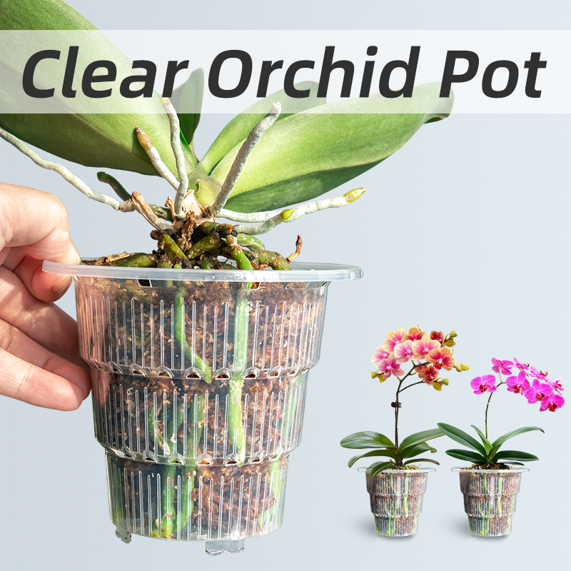 Meshpot Clear Plastic Orchid P - огляд і ціна Orchid Potting Mix