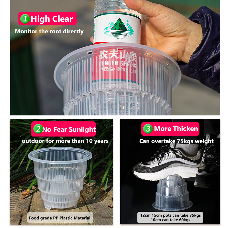 Meshpot Clear Plastic Orchid P - огляд і ціна Orchid Potting Mix