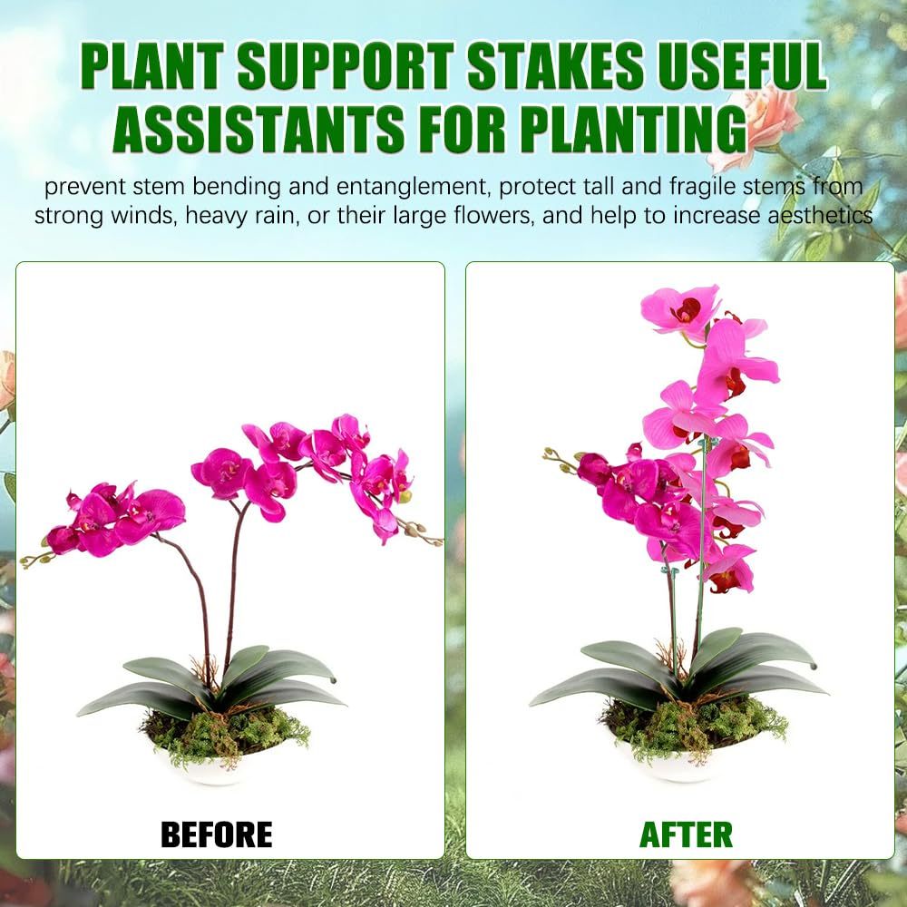5/10PCS Plant Supports Stand B - огляд і ціна Orchid Potting Mix