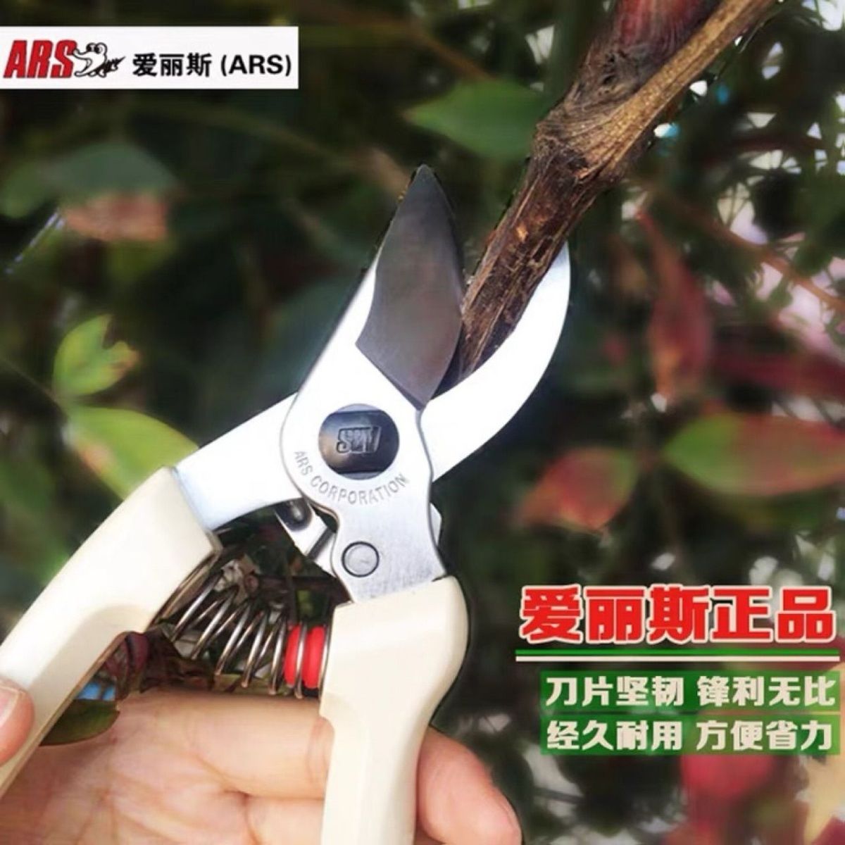 Pruning scissors, garden tools - огляд і ціна Gardening Tools Japan
