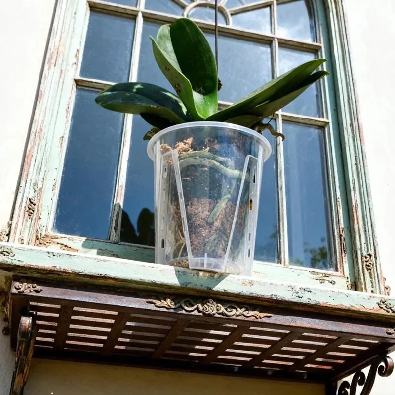 S/M/L/XL Clear Root Control Fl - огляд і ціна Orchid Potting Mix