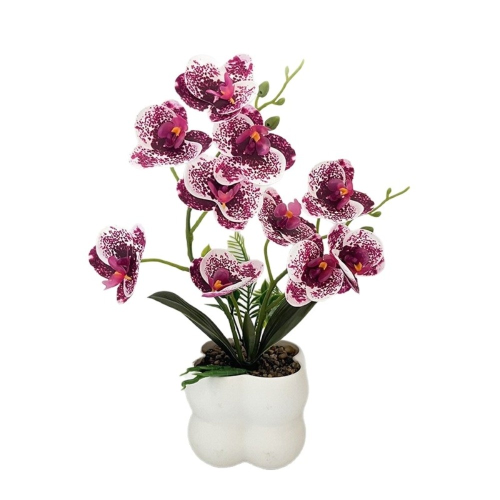 Multi-Bloom Simulated Butterfl - огляд і ціна Orchid Potting Mix