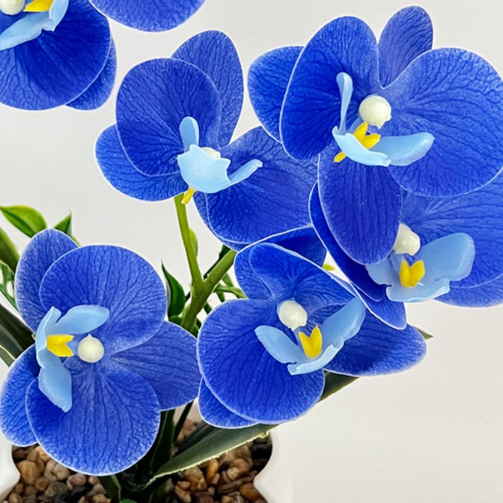 Multi-Bloom Simulated Butterfl - огляд і ціна Orchid Potting Mix