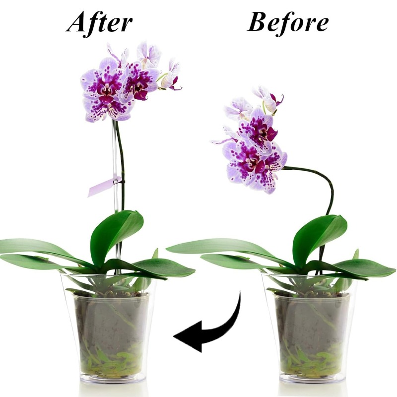 Reusable Clear Flower Support  - огляд і ціна Orchid Potting Mix