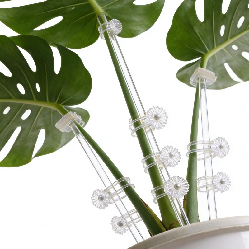 Reusable Clear Flower Support  - огляд і ціна Orchid Potting Mix