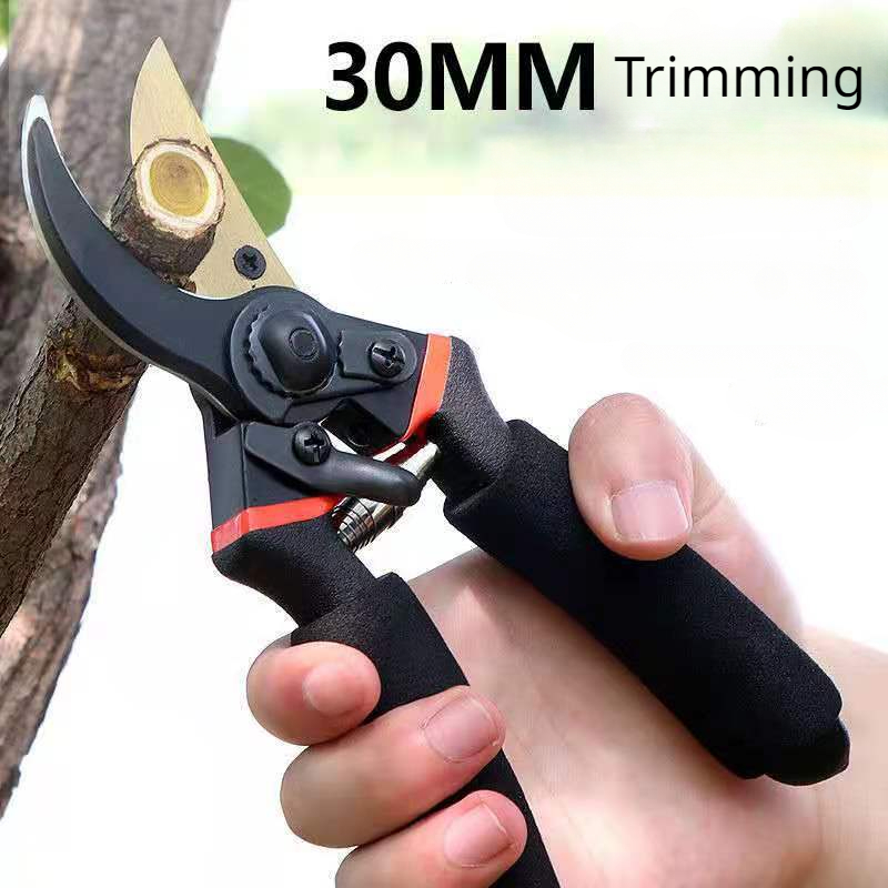 Japan Thickened SK5 Steel Bran - огляд і ціна Gardening Tools Japan
