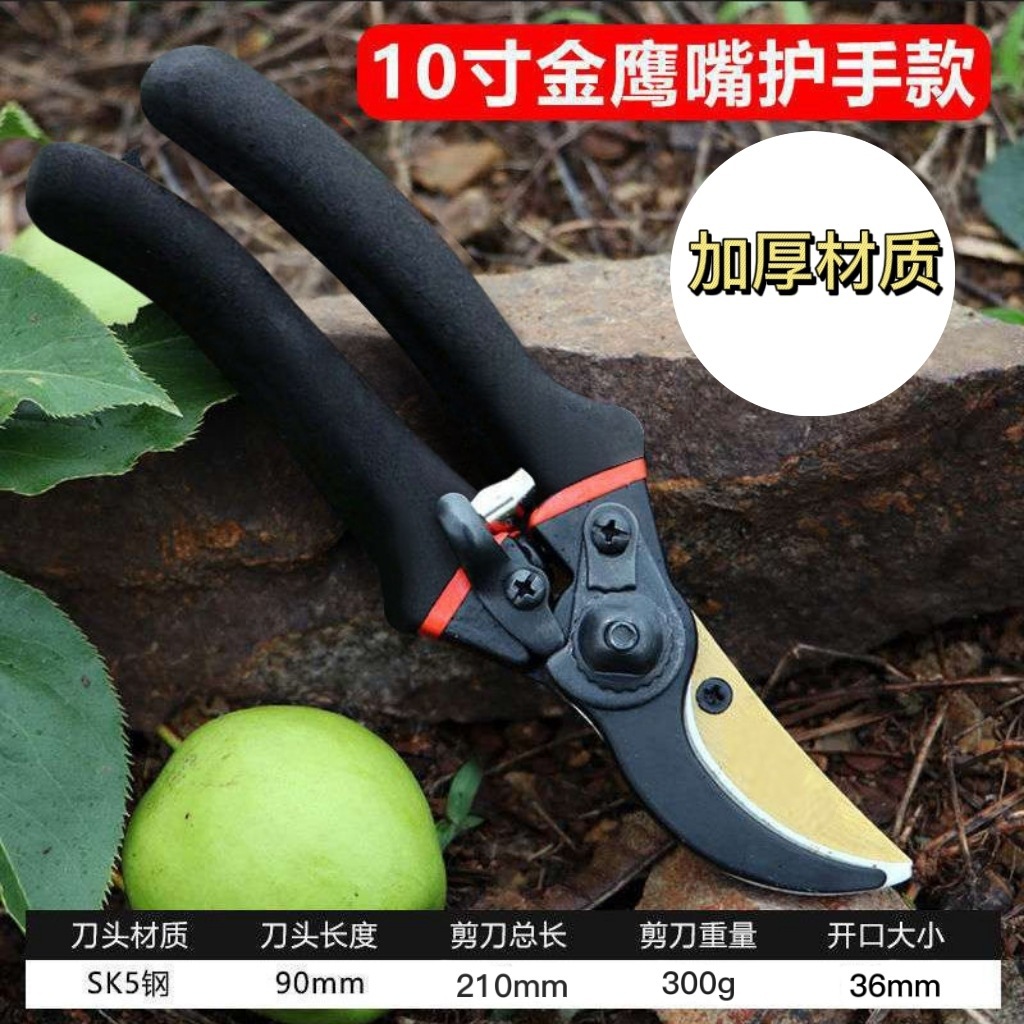 Japan Thickened SK5 Steel Bran - огляд і ціна Gardening Tools Japan