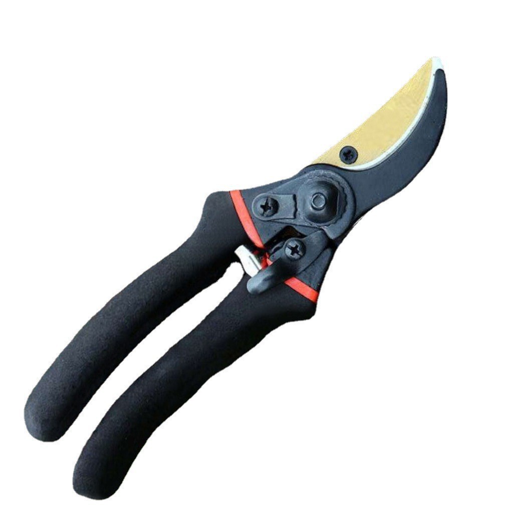 Japan Thickened SK5 Steel Bran - огляд і ціна Gardening Tools Japan