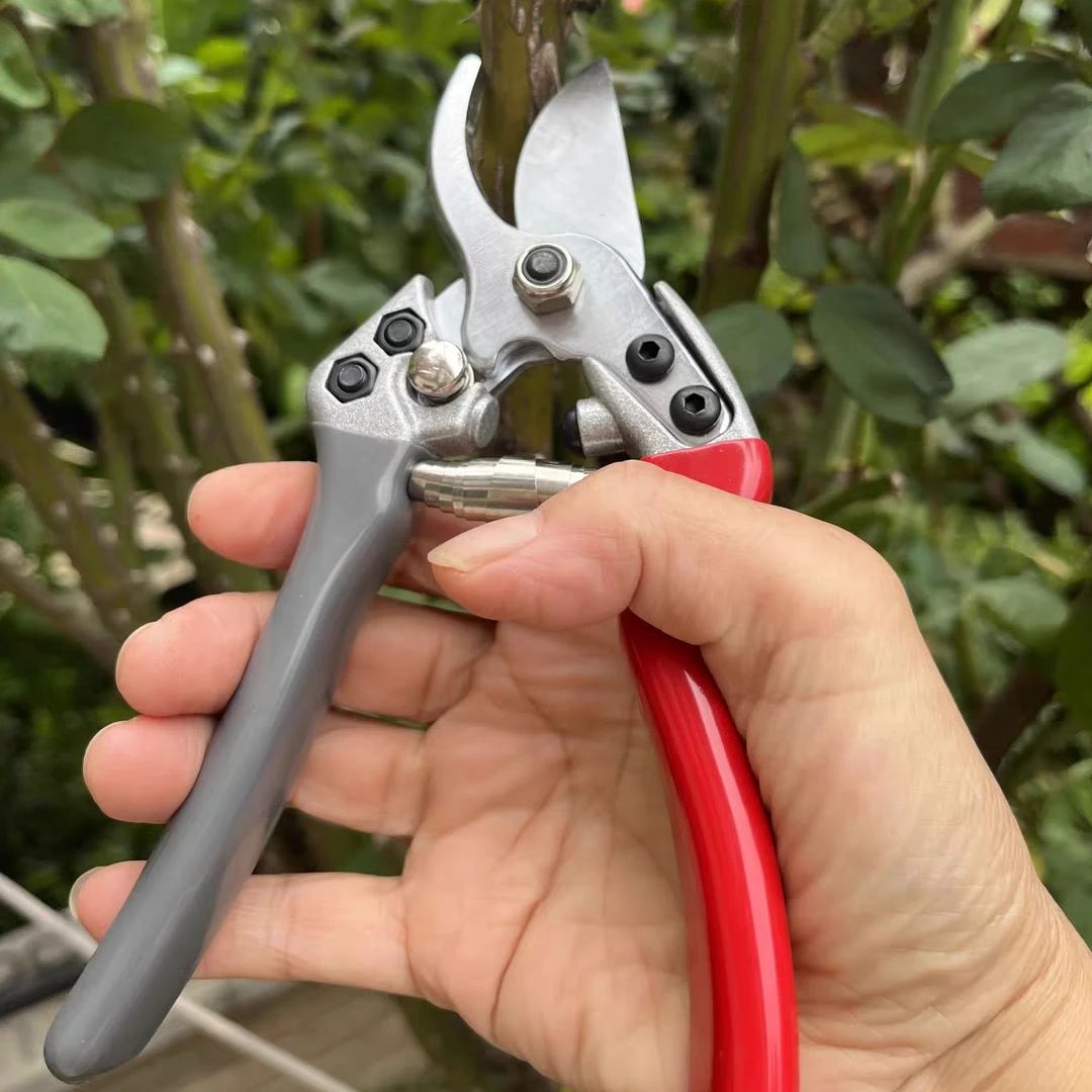 Japan Vvt New Sk5 Strong Garde - огляд і ціна Gardening Tools Japan