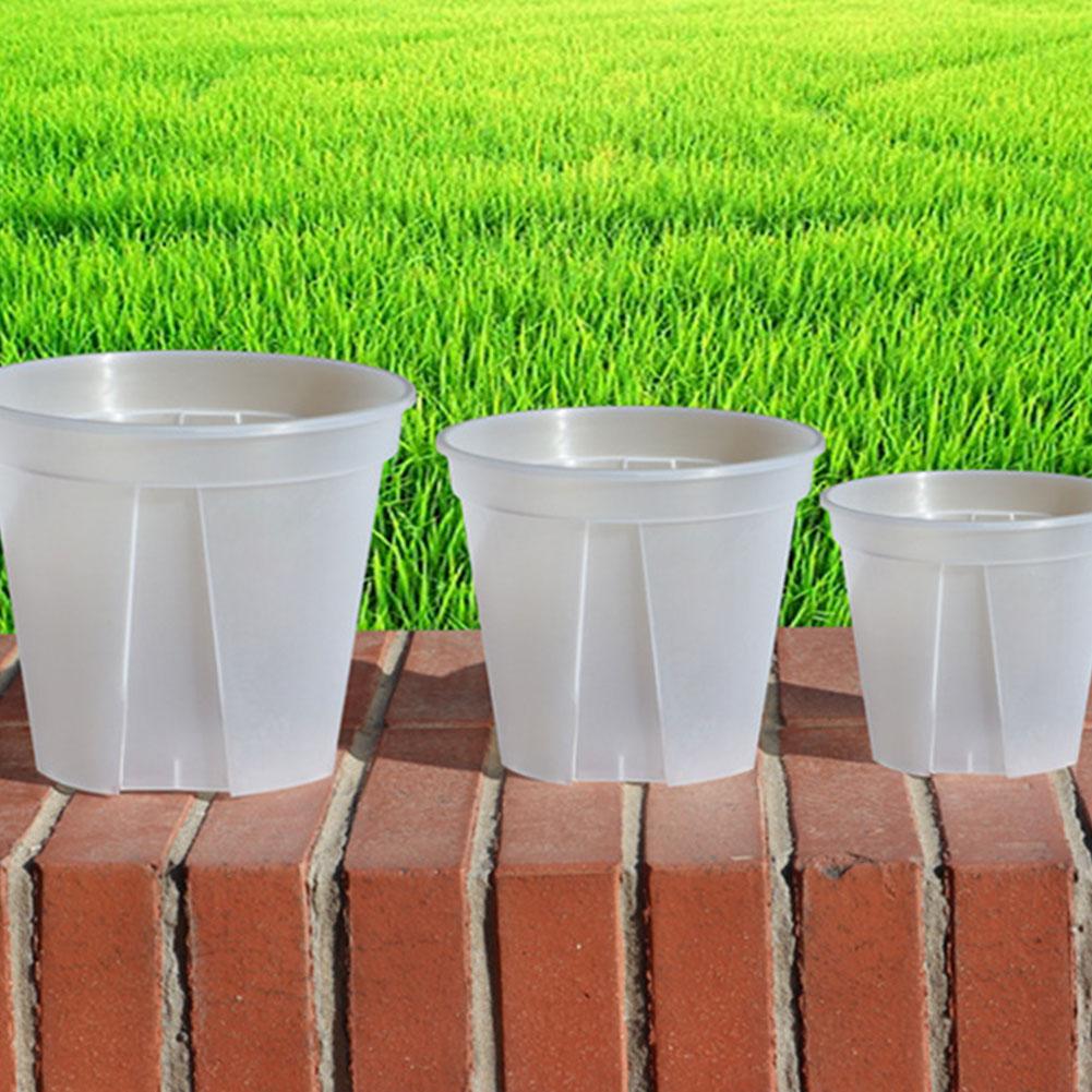 Transparent Plastic Pots Root  - огляд і ціна Orchid Potting Mix