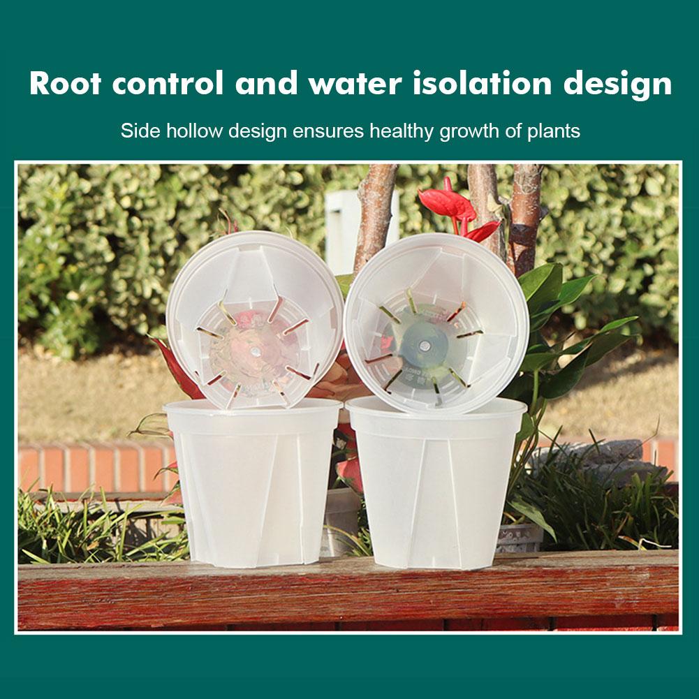 Transparent Plastic Pots Root  - огляд і ціна Orchid Potting Mix