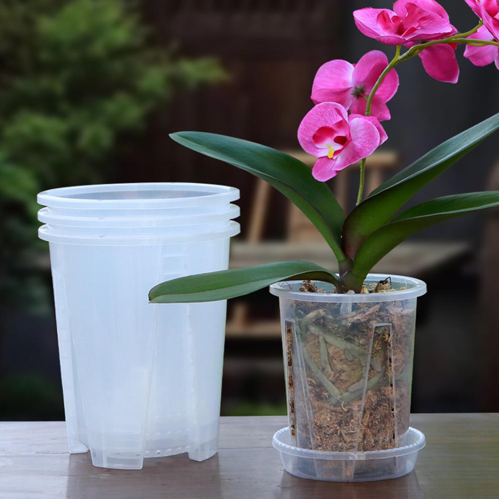5PCS/Kit Clear Plastic Orchid  - огляд і ціна Orchid Potting Mix