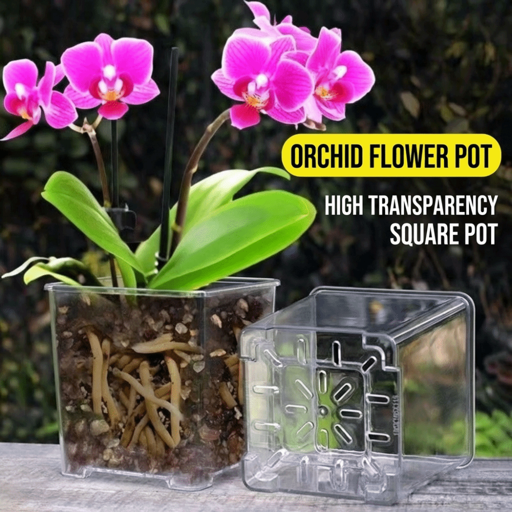 Transparent Material Acrylic P - огляд і ціна Orchid Potting Mix
