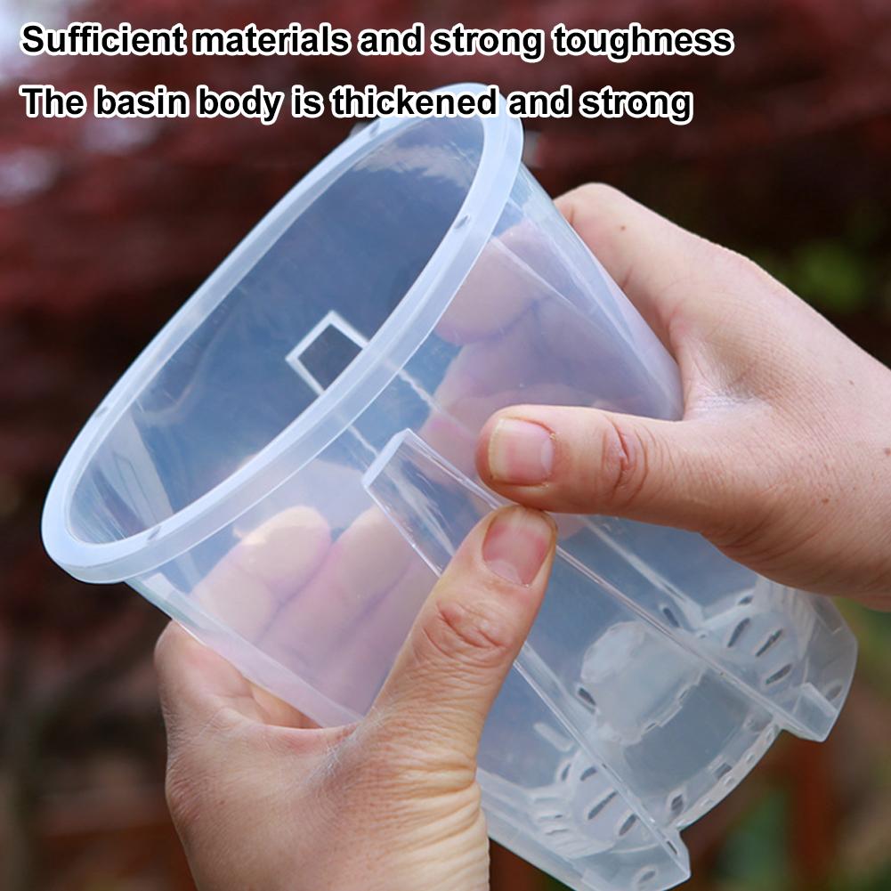 5PCS/Kit Clear Plastic Orchid  - огляд і ціна Orchid Potting Mix